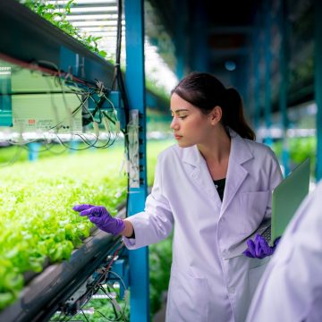 Inside of Greenhouse Hydroponic Vertical Farm Eco system.